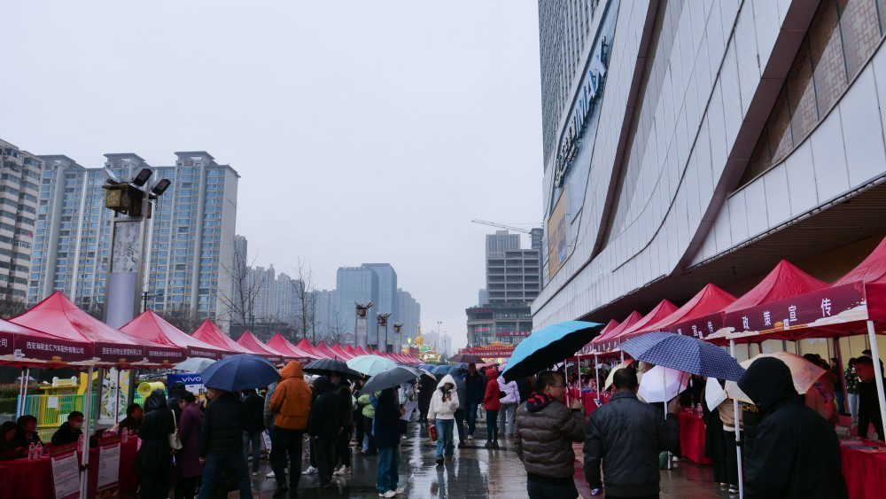 企迪云直播助力未央区2026年春风行动暨就业援助季专场招聘会